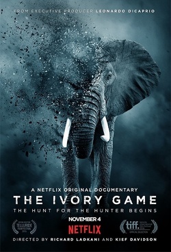 Couverture de The ivory game