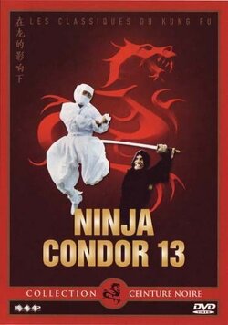 Couverture de Ninja Condor 13