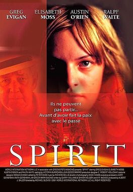 Affiche du film Spirit