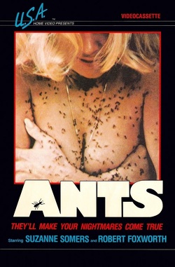 Couverture de Ants: Les Fourmis