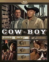 Affiche du film Cow-Boy