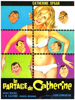Affiche du film Le Partage De Catherine