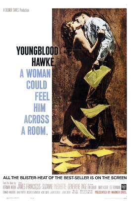 Affiche du film Youngblood Hawke
