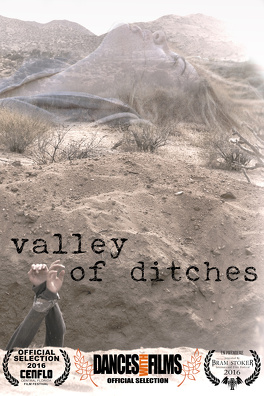 Affiche du film Valley Of Ditches