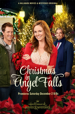 Couverture de Christmas in Angel Falls