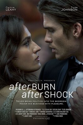 Affiche du film Afterburn / Aftershock