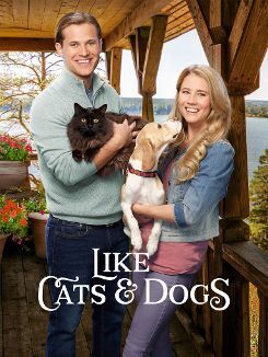 Affiche du film Like cats and dogs