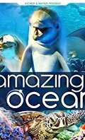 Amazing ocean 3D