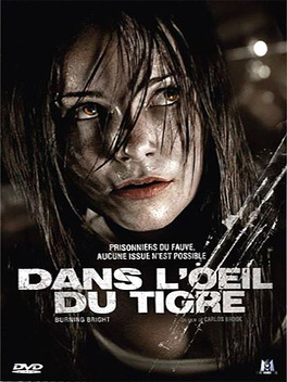 Affiche du film Dans l'Oeil du Tigre