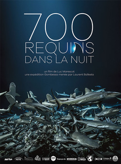 Couverture de 700 Requins dans la nuit