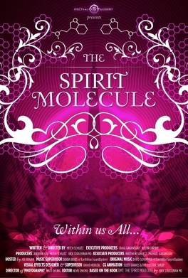 Affiche du film DMT : The Spirit Molecule