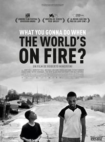 Affiche du film What you gonna do when the world's on fire ?