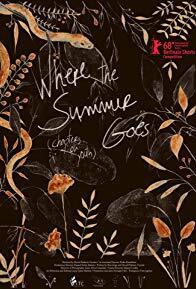 Couverture de Where the summer goes (chapters on youth)
