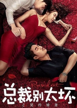 Affiche du film Young President and His Contract Wife