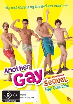 Couverture de Another gay sequel