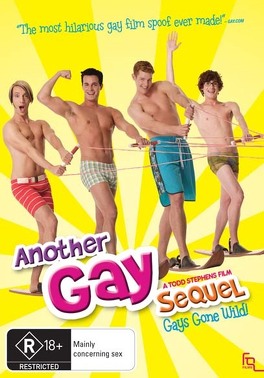 Affiche du film Another gay sequel
