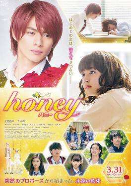 Affiche du film Honey