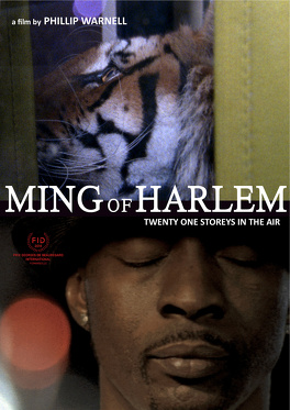 Affiche du film Ming of Harlem: Twenty One Storeys in the Air
