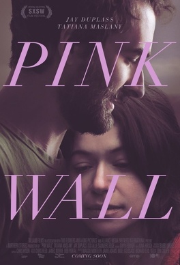 Affiche du film Pink Wall