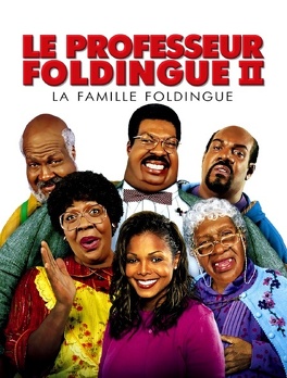 Affiche du film La famille foldingue 2