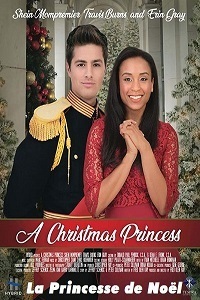 Affiche du film La princesse de Noël