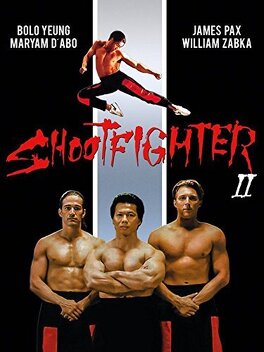 Affiche du film Shootfighter II