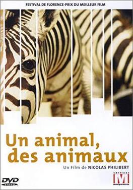 Affiche du film Un animal, des animaux