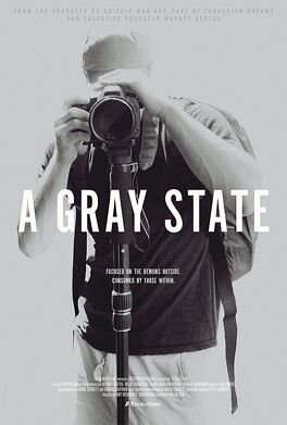 Affiche du film A Gray State