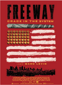 Couverture de Freeway: Crack in the System