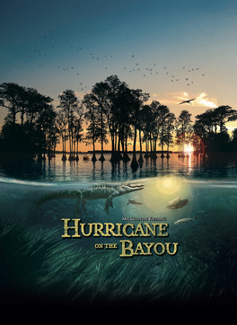 Affiche du film Hurricane on the Bayou