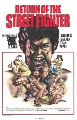 Affiche du film Return of the Street Fighter