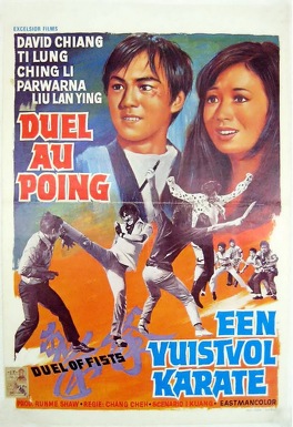 Affiche du film Duel aux poings