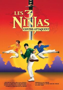 Couverture de Les 3 ninjas contre-attaquent