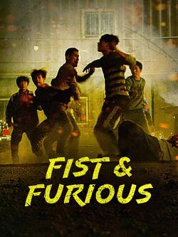 Couverture de Fist & Furious