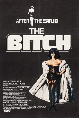 Affiche du film The Bitch