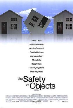 Couverture de The Safety of Objects