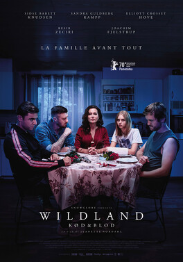 Affiche du film Wildland