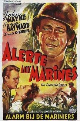 Affiche du film Alerte Aux Marines
