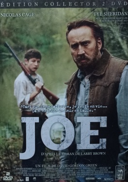 Affiche du film Joe