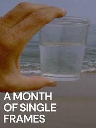 Affiche du film A month of single frames