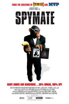 Affiche du film Spymate