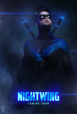 Couverture de Nightwing