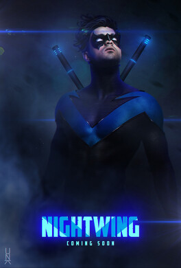 Affiche du film Nightwing