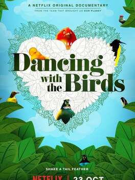 Affiche du film La danse des oiseaux