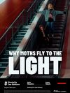 Why moths fly to the light ?