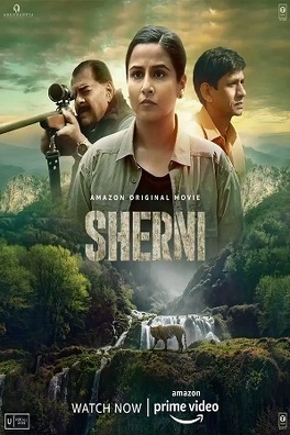 Affiche du film Sherni