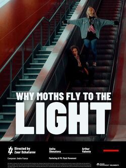 Couverture de Why moths fly to the light ?
