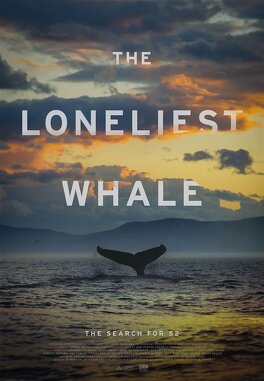 Affiche du film The Loneliest Whale : The Search for 52!