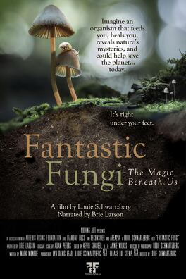 Affiche du film Fantastic Fungi