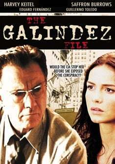 Affiche du film Galindez